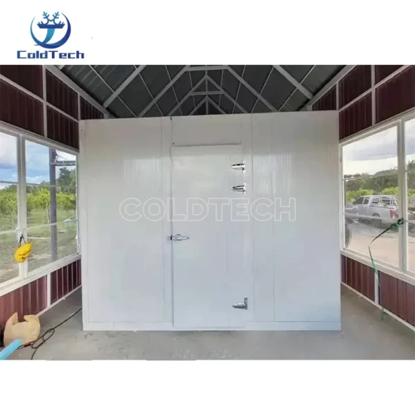 Freezer, 10*8*8Ft, 220V, R404a - view 3