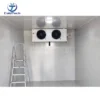 Freezer, 10*8*8Ft, 220V, R404a - view 6