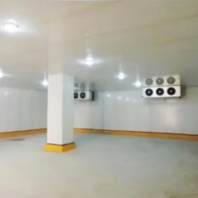 Freezer, 110v~480v, Customization - view 2