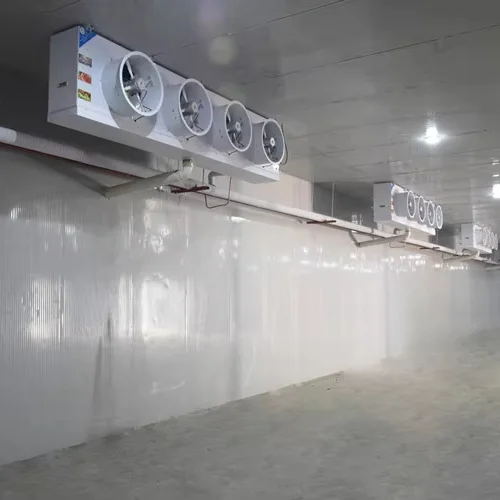 Freezer, 110v~480v, Customization - view 3