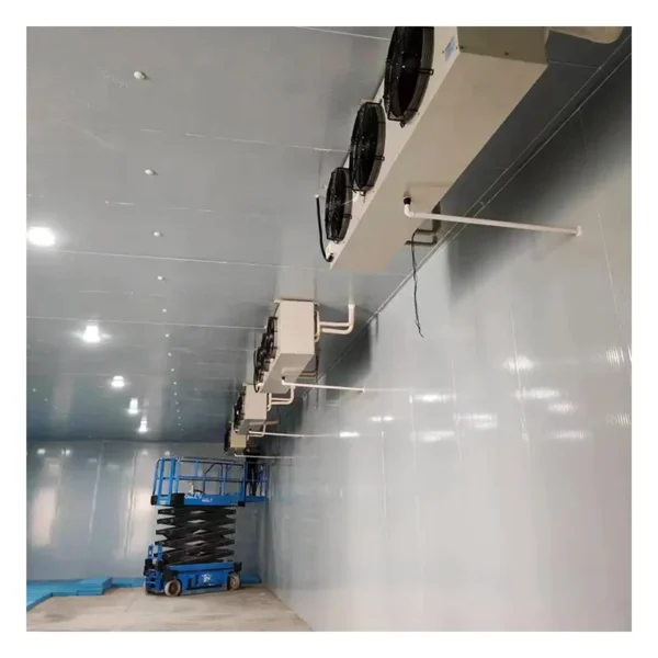 Freezer, 110v~480v, R134a - view 5