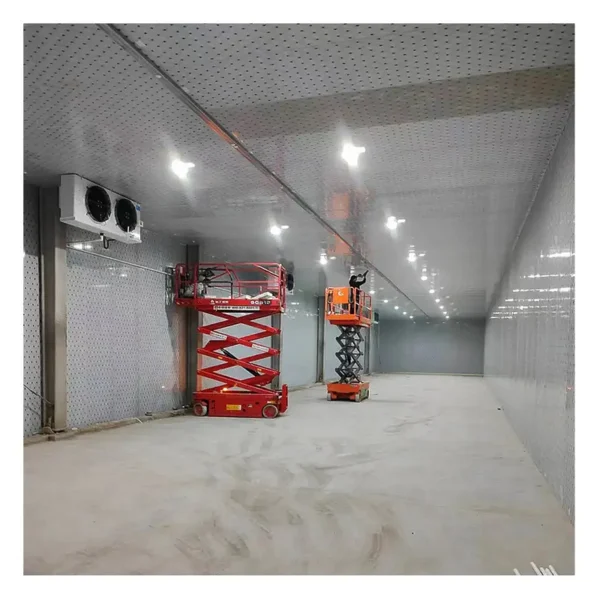 Freezer, 110v~480v, R404A - view 2