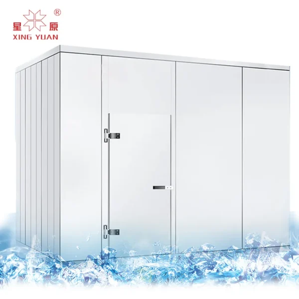 Freezer, 20ft, 5ftx5ftx4ft - view 2