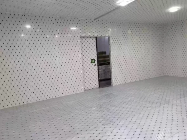 Freezer, 220 V, > 1000W - view 6
