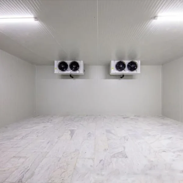 Freezer, 220v, 1-30 HP - view 3