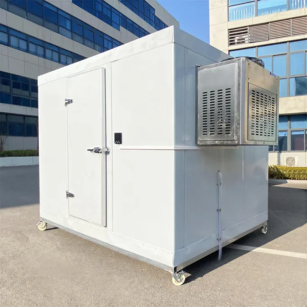 Freezer, 220V, 2 ton - view 5