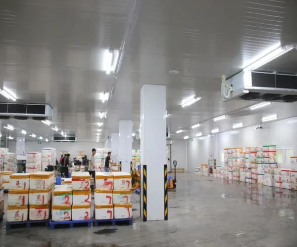 Freezer, R-404 - view 2