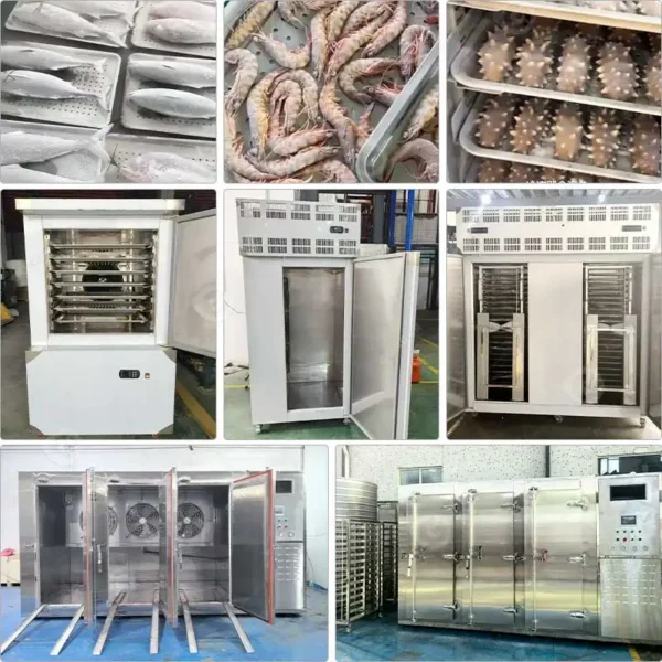 Freezer, Stainless, Steel, 10x10 - view 5