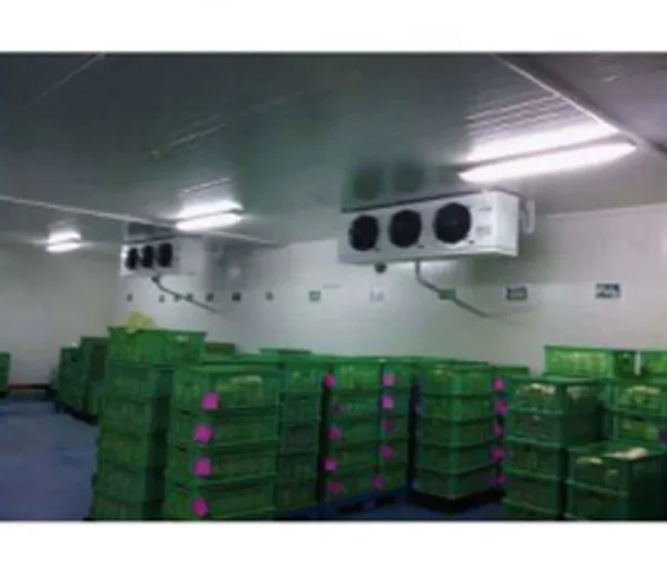 Freezing Equipment, 110v~480v - view 4