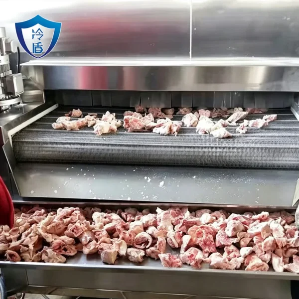 Freezing Equipment, IQF, 110v-380v, Stainless Steel 304 - view 4