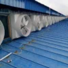 Frp Conical Exhaust Fan, 50-inch, 1260mm