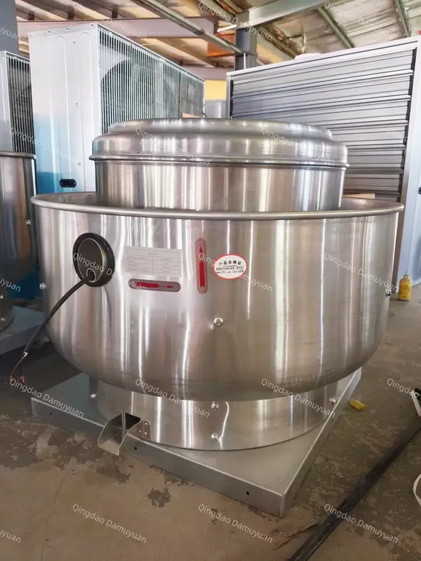 Fume Exhaust Cleaning Fan, Roof, Centrifugal - view 6