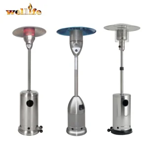 Gas Heater, Stainless, Steel
