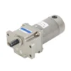 Gear Motor, JIUHONG, Beds-200W, IE2, 3-200