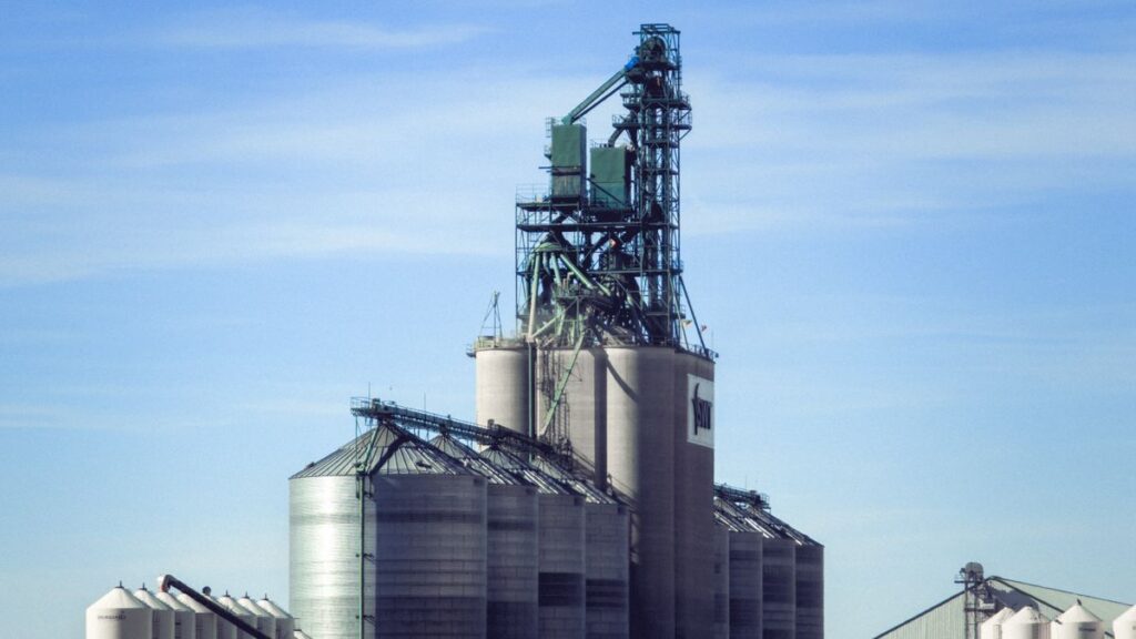Grain Handling & Dust Extraction