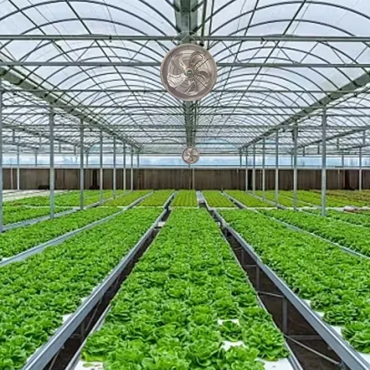 Greenhouse Air Circulation Fan, 220v/380V, Electric - view 3