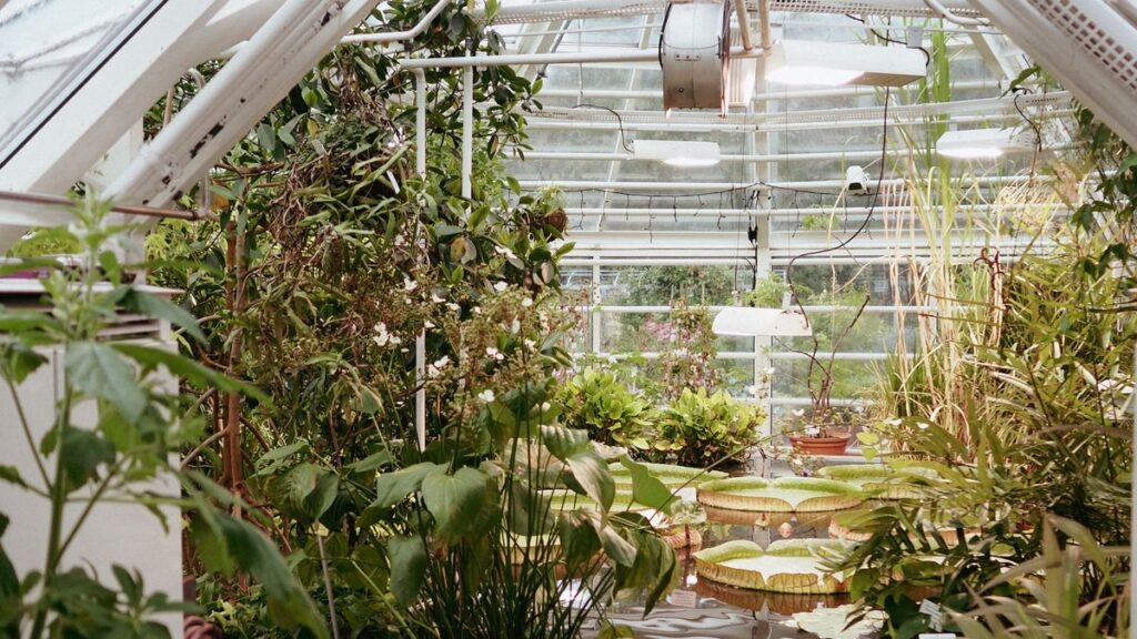 Greenhouse & Horticulture Climate Control