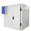Hand Cold Room Freezer, 380V, R22