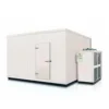 Hand Cold Room Freezer, 380V, R22 - view 6