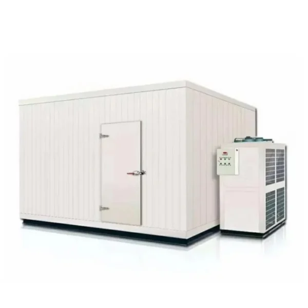 Hand Cold Room Freezer, 380V, R22 - view 6