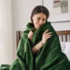 Heated Blanket, 115, Flannel Fleece - view 4