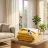 Heated Blanket, 220V, 110~220V-50Hz, 110 W(0.15hp)