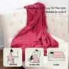 Heated Blanket, 62*84", Portable, 10H - view 3