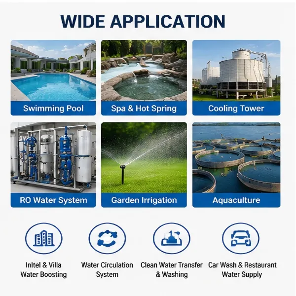 High-efficiency Pool Pump, Electric, Type STP - view 5