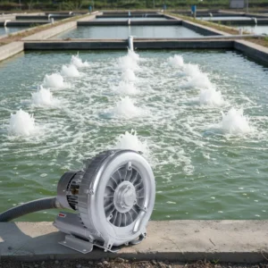 High Pressure Regenerative Blower, 2.2Kw, 380v, 210
