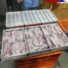 High Quality Contact Plate, 380-460v, Plate Freezer