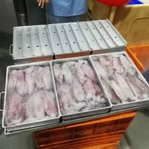 High Quality Contact Plate, 380-460v, Plate Freezer