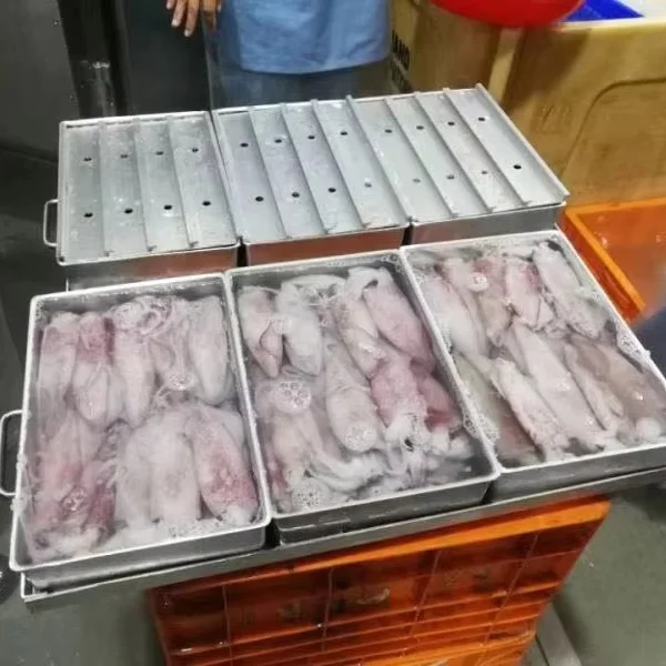High Quality Contact Plate, 380-460v, Plate Freezer
