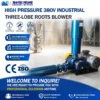 High Volume Air Pump, 3kW, 380 V, Electric - view 4