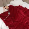 Home Electricity Electric Blanket, Cordless, AC 110V, Fleece - view 4