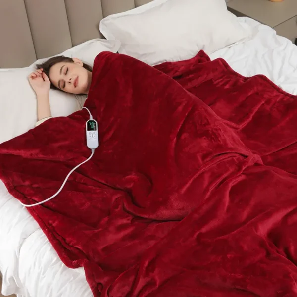 Home Electricity Electric Blanket, Cordless, AC 110V, Fleece - view 4