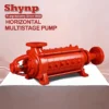 Horizontal Boiler, SHYNPO, 220V, SD - view 3