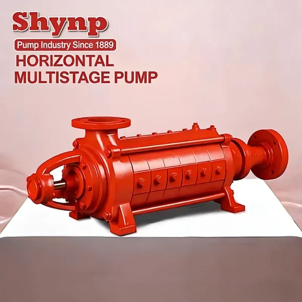 Horizontal Boiler, SHYNPO, 220V, SD - view 3