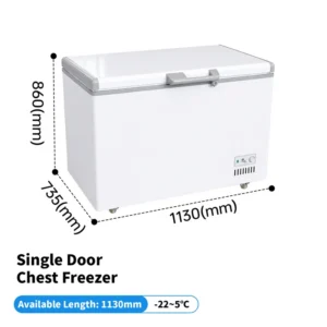 Horizontal Chest Deep Freezer, R290, 220 V