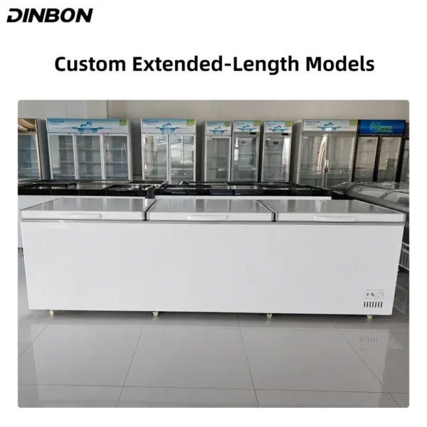 Horizontal Chest Deep Freezer, R290, 220 V - view 6