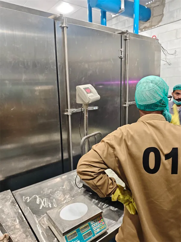 Horizontal Cold Freezing Plate, 380, 750kg - view 6