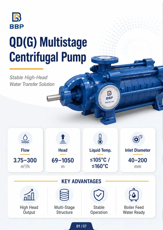 Horizontal Multistage Centrifugal Pump, BBP, Motor, QD - view 6