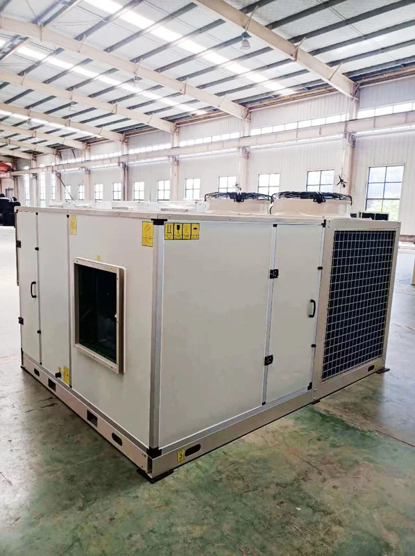 Hvac System Packaged Unit, 2100m3, R410A - view 3