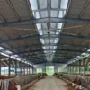 Hvls Ceiling Fan, 14ft, 0.5KW - view 2