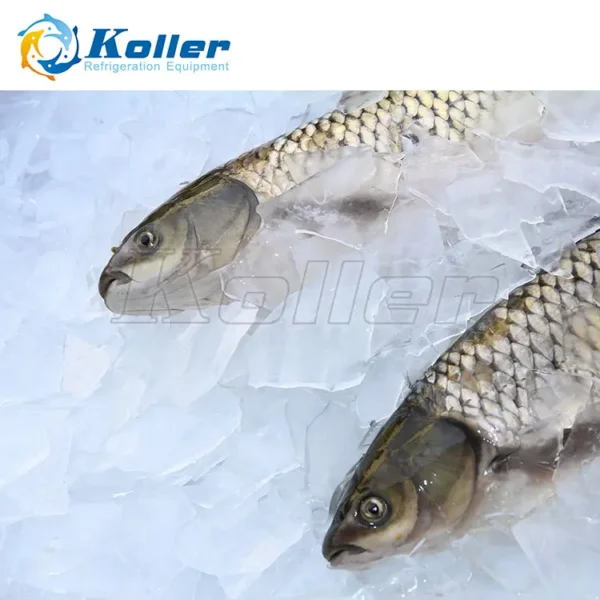 Ice Machine, 20000, Stainless Steel, R22 R404a - view 6