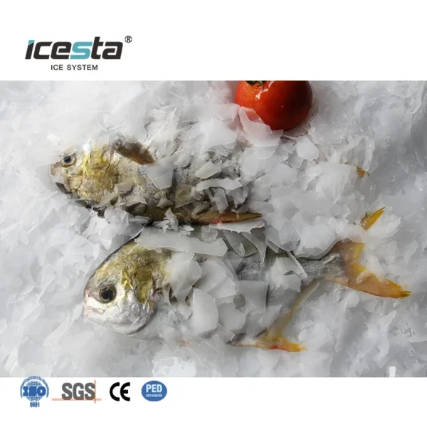 Ice Machine, ICESTA, Stainless, Steel - view 5