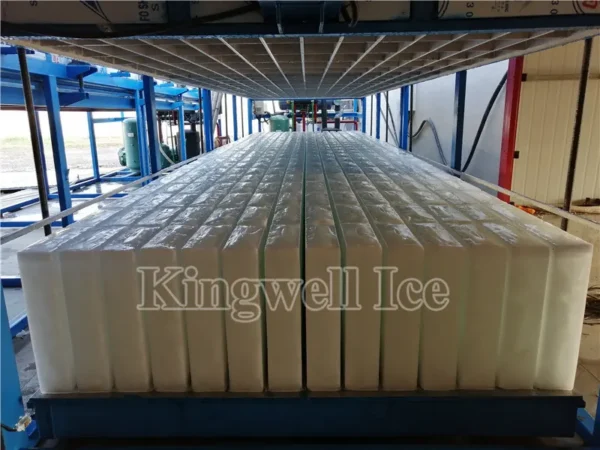 Ice Machines, 1ton, 5ton - view 4