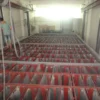 Ice Machines, 5ton, 70ton - view 2