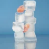 Ice Machines, Stainless, Steel - view 6