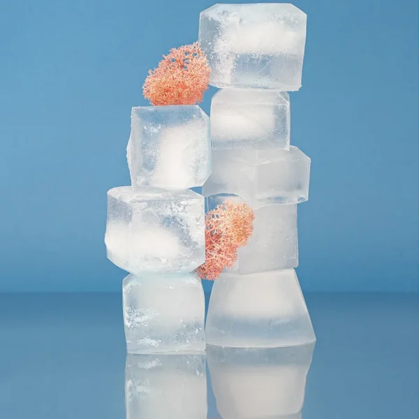 Ice Machines, Stainless, Steel - view 6