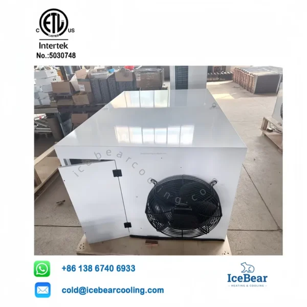 Icebear R404a 1hp, 1HP/2HP, Ceiling, Monoblock - view 2